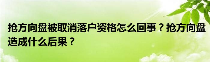 抢方向盘被取消落户资格怎么回事？抢方向盘造成什么后果？