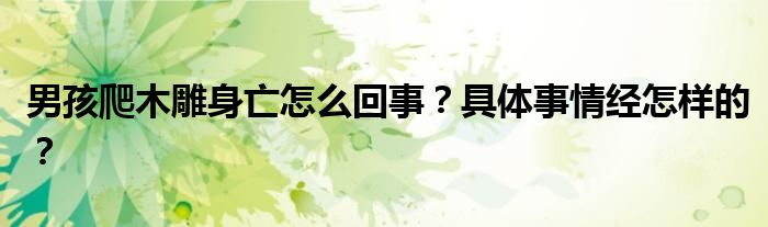 男孩爬木雕身亡怎么回事？具体事情经怎样的？