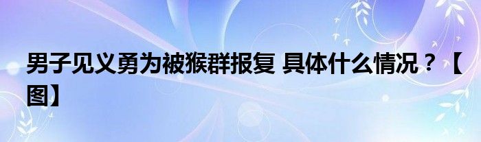 男子见义勇为被猴群报复 具体什么情况？【图】