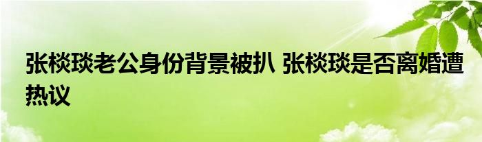 张棪琰老公身份背景被扒 张棪琰是否离婚遭热议