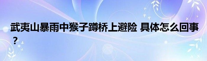 武夷山暴雨中猴子蹲桥上避险 具体怎么回事？