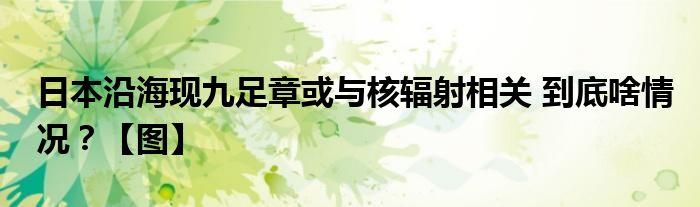 日本沿海现九足章或与核辐射相关 到底啥情况？【图】