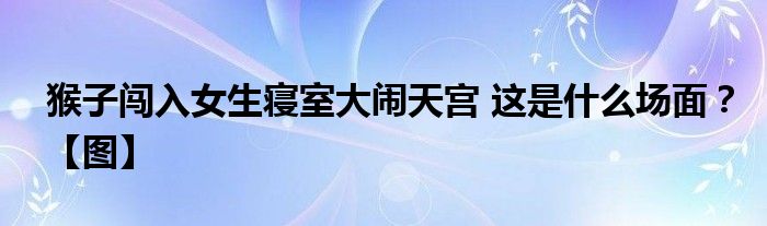 猴子闯入女生寝室大闹天宫 这是什么场面？【图】