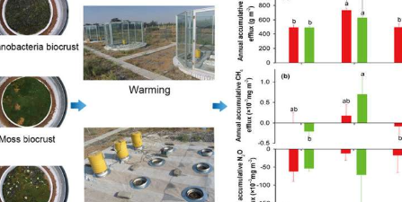 气候变暖不会改变干旱沙区生物结皮温室气体排放