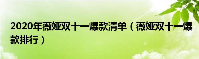 2020年薇娅双十一爆款清单（薇娅双十一爆款排行）