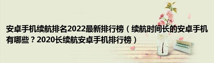 安卓手机续航排名2022最新排行榜（续航时间长的安卓手机有哪些？2020长续航安卓手机排行榜）