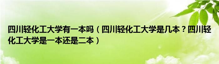 四川轻化工大学有一本吗（四川轻化工大学是几本？四川轻化工大学是一本还是二本）