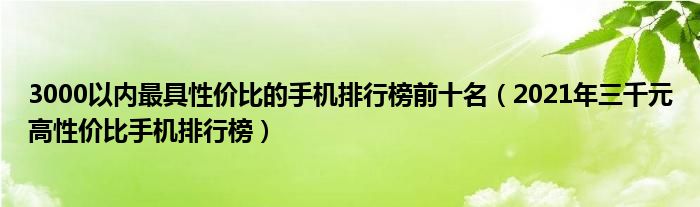 3000以内最具性价比的手机排行榜前十名（2021年三千元高性价比手机排行榜）