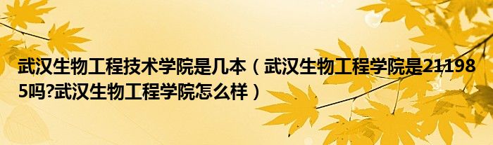 武汉生物工程技术学院是几本（武汉生物工程学院是211985吗?武汉生物工程学院怎么样）