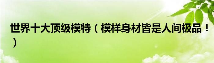 世界十大顶级模特（模样身材皆是人间极品！）