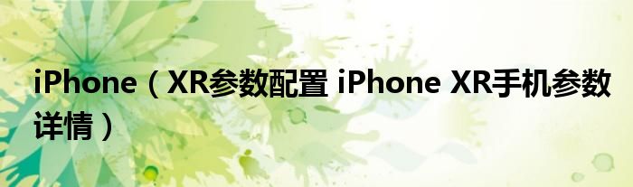 iPhone（XR参数配置 iPhone XR手机参数详情）