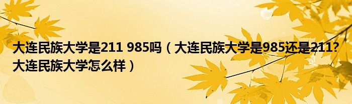 大连民族大学是211 985吗（大连民族大学是985还是211?大连民族大学怎么样）