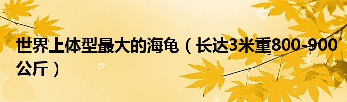 世界上体型最大的海龟（长达3米重800-900公斤）