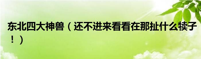 東北四大神獸還不進來看看在那扯什麼犢子