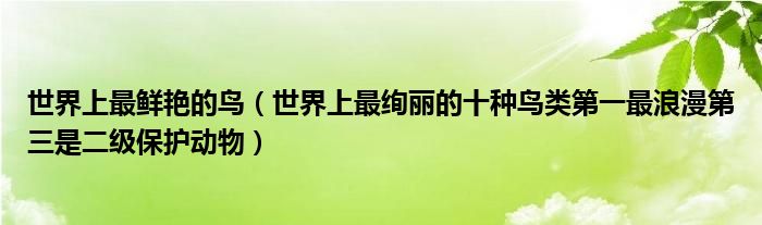 世界上最鲜艳的鸟（世界上最绚丽的十种鸟类第一最浪漫第三是二级保护动物）