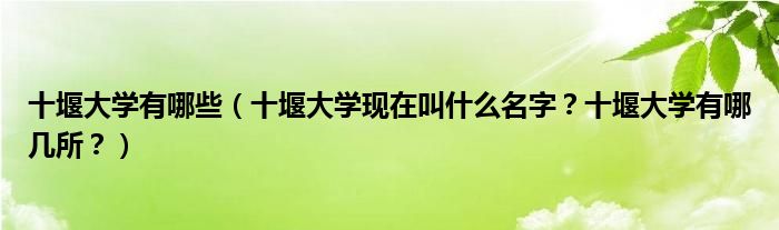 十堰大学有哪些（十堰大学现在叫什么名字？十堰大学有哪几所？）