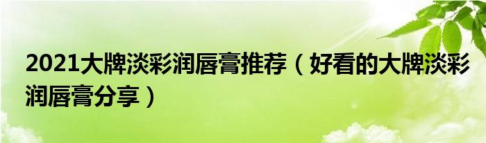 2021大牌淡彩润唇膏推荐（好看的大牌淡彩润唇膏分享）