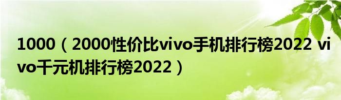 1000（2000性价比vivo手机排行榜2022 vivo千元机排行榜2022）