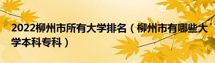 2022柳州市所有大学排名（柳州市有哪些大学本科专科）