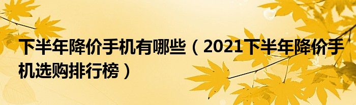 下半年降价手机有哪些（2021下半年降价手机选购排行榜）