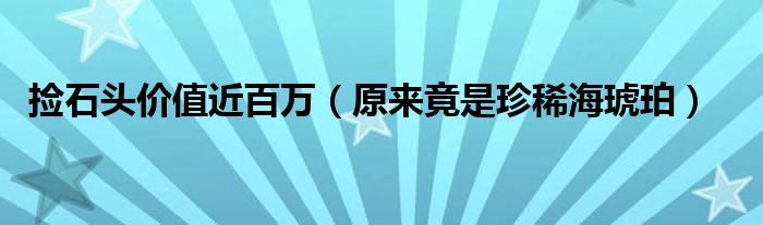 捡石头价值近百万（原来竟是珍稀海琥珀）