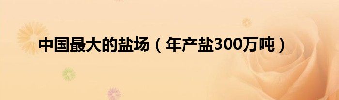 中国最大的盐场（年产盐300万吨）