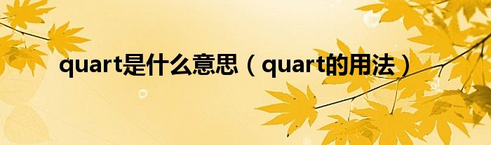 quart是什么意思（quart的用法）