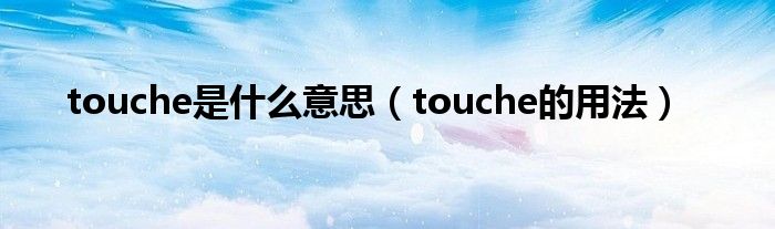 touche是什么意思（touche的用法）