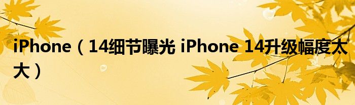 iPhone（14细节曝光 iPhone 14升级幅度太大）