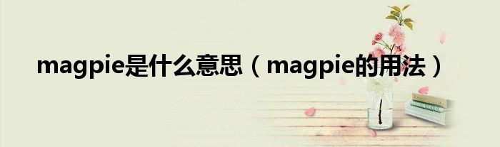 magpie是什么意思（magpie的用法）