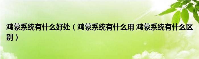 鸿蒙系统有什么好处（鸿蒙系统有什么用 鸿蒙系统有什么区别）