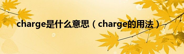 charge是什么意思（charge的用法）