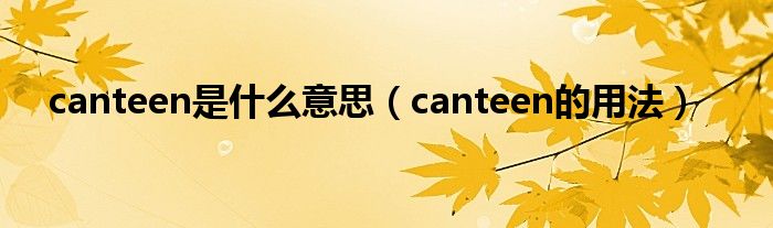 canteen是什么意思（canteen的用法）