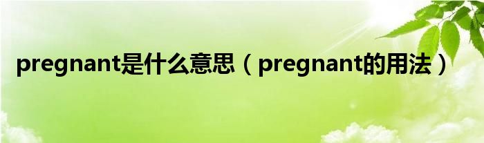 pregnant是什么意思（pregnant的用法）