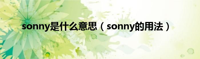 sonny是什么意思（sonny的用法）