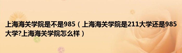 上海海关学院是不是985（上海海关学院是211大学还是985大学?上海海关学院怎么样）