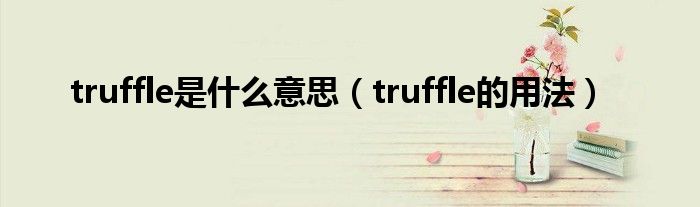 truffle是什么意思（truffle的用法）