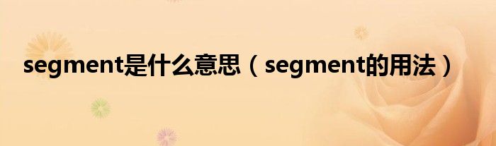 segment是什么意思（segment的用法）