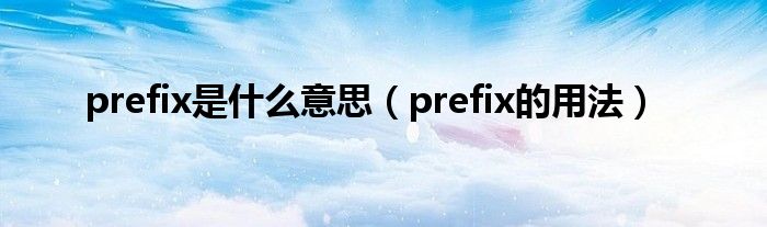 prefix是什么意思（prefix的用法）