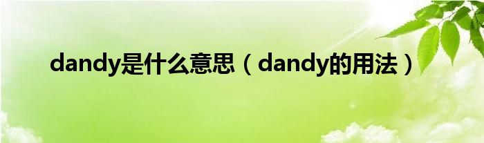 dandy是什么意思（dandy的用法）