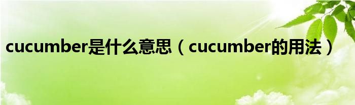 cucumber是什么意思（cucumber的用法）