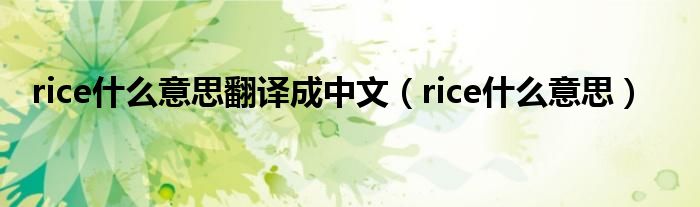 rice什么意思翻译成中文（rice什么意思）