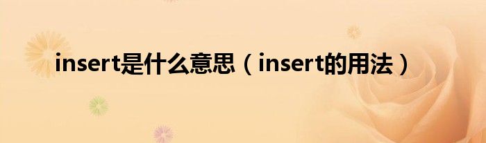 insert是什么意思（insert的用法）