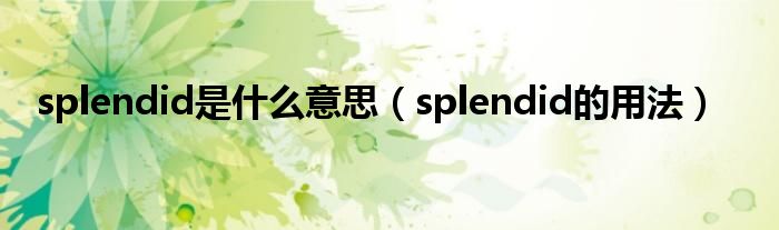 splendid是什么意思（splendid的用法）