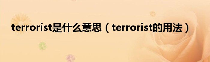 terrorist是什么意思（terrorist的用法）