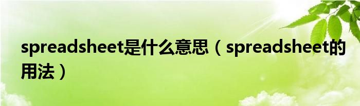 spreadsheet是什么意思（spreadsheet的用法）