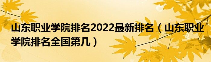 山东职业学院排名2022最新排名（山东职业学院排名全国第几）