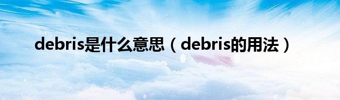 debris是什么意思（debris的用法）