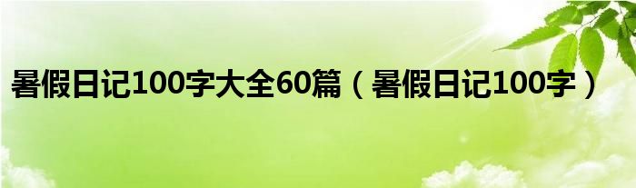 暑假日记100字大全60篇（暑假日记100字）