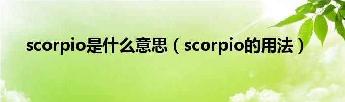 scorpio是什么意思（scorpio的用法）